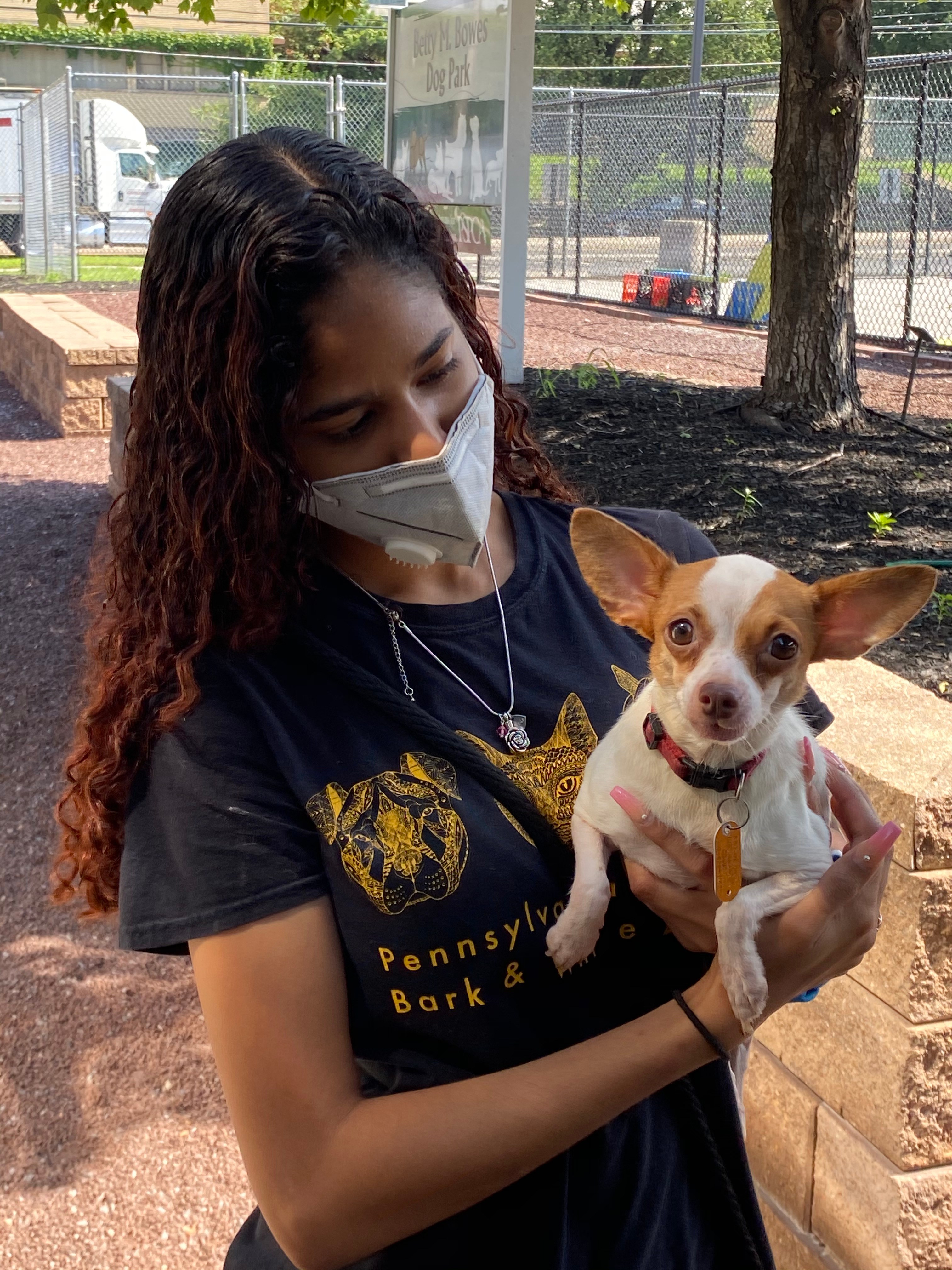 Spca Cruelty Hotline